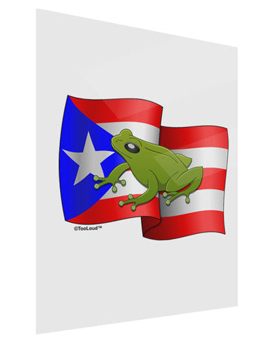 Puerto Rico Coqui Gloss Poster Print Portrait - Choose Size-Poster Print-TooLoud-11x17"-Davson Sales