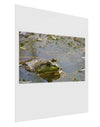 Bullfrog In Water Gloss Poster Print Portrait - Choose Size by TooLoud-Poster Print-TooLoud-11x17"-Davson Sales