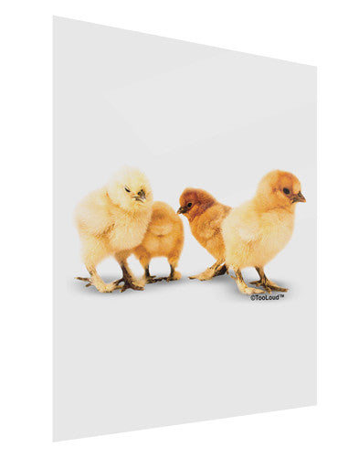 Cute Chicks Gloss Poster Print Portrait - Choose Size-Poster Print-TooLoud-11x17"-Davson Sales