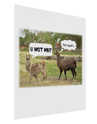 Angry Standing Llamas Gloss Poster Print Portrait - Choose Size by TooLoud-Poster Print-TooLoud-11x17"-Davson Sales