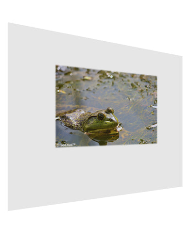 Bullfrog In Water Matte Poster Print Landscape - Choose Size by TooLoud-Poster Print-TooLoud-17x11"-Davson Sales