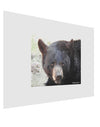 Staring Black Bear Matte Poster Print Landscape - Choose Size-Poster Print-TooLoud-17x11"-Davson Sales