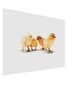 Cute Chicks Matte Poster Print Landscape - Choose Size-Poster Print-TooLoud-17x11"-Davson Sales