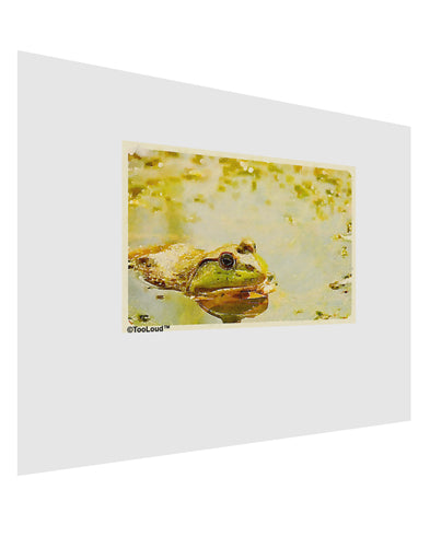 Bullfrog In Watercolor Matte Poster Print Landscape - Choose Size by TooLoud-Poster Print-TooLoud-17x11"-Davson Sales