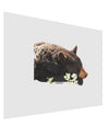 Laying Black Bear Cutout Matte Poster Print Landscape - Choose Size-Poster Print-TooLoud-17x11"-Davson Sales