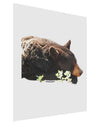 Laying Black Bear Cutout Matte Poster Print Portrait - Choose Size-Poster Print-TooLoud-11x17"-Davson Sales