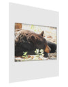 Laying Black Bear Matte Poster Print Portrait - Choose Size-Poster Print-TooLoud-11x17"-Davson Sales