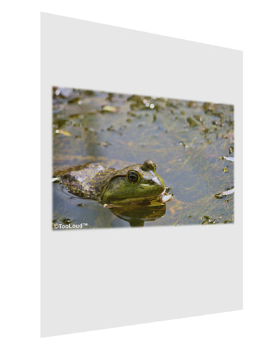 Bullfrog In Water Matte Poster Print Portrait - Choose Size by TooLoud-Poster Print-TooLoud-11x17"-Davson Sales