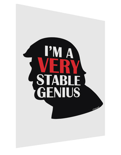 I'm A Very Stable Genius Matte Poster Print Portrait - Choose Size by TooLoud-Posters, Prints, & Visual Artwork-TooLoud-11x17"-Davson Sales