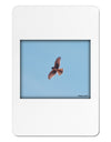 Soaring Peregrine Aluminum Magnet-TooLoud-White-Davson Sales