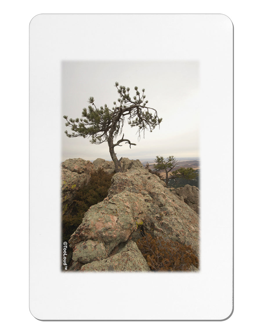 Stone Tree Colorado Aluminum Magnet by TooLoud-TooLoud-White-Davson Sales