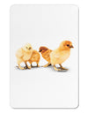 Cute Chicks Aluminum Magnet-TooLoud-White-Davson Sales