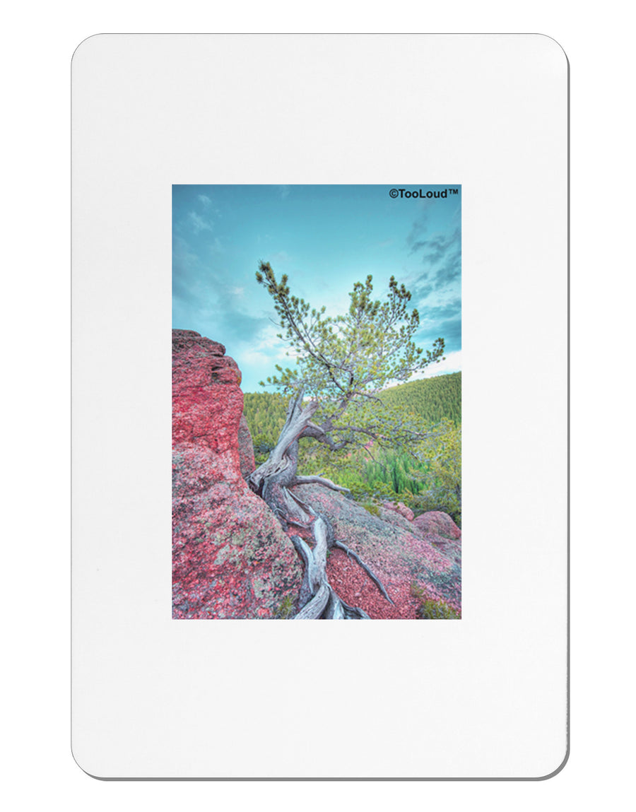 CO Cliffside Tree Aluminum Magnet-TooLoud-White-Davson Sales