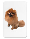 Pomeranian Sitting All Cute-Like Aluminum Magnet-TooLoud-White-Davson Sales