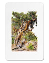 Bristlecone Pines Aluminum Magnet-TooLoud-White-Davson Sales