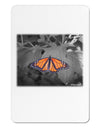 Monarch Butterfly Photo Aluminum Magnet-TooLoud-White-Davson Sales