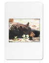 Laying Black Bear Aluminum Magnet-TooLoud-White-Davson Sales