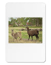 Standing Llamas Aluminum Magnet by TooLoud-TooLoud-White-Davson Sales