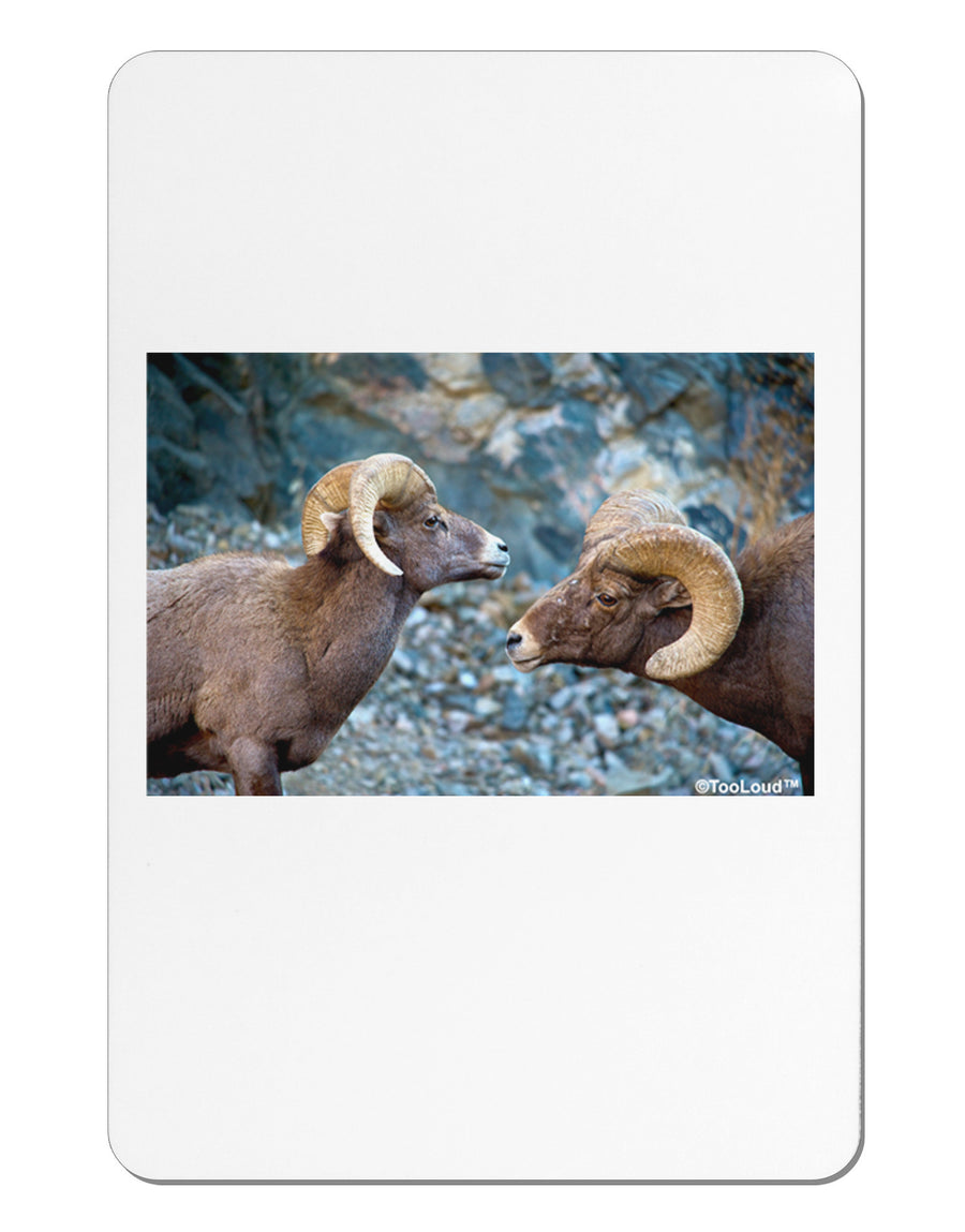 Two Bighorn Rams Aluminum Magnet-TooLoud-White-Davson Sales