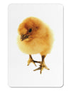 Fluffy Chick Aluminum Magnet-TooLoud-White-Davson Sales