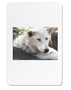 Laying White Wolf Aluminum Magnet-TooLoud-White-Davson Sales