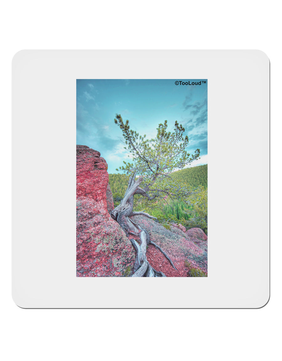 CO Cliffside Tree 4x4&#x22; Square Sticker-Stickers-TooLoud-1-Davson Sales