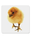 Fluffy Chick 4x4&#x22; Square Sticker-Stickers-TooLoud-1-Davson Sales