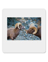 Two Bighorn Rams 4x4&#x22; Square Sticker-Stickers-TooLoud-1 Piece-Davson Sales