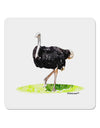 Ostrich Watercolor 4x4&#x22; Square Sticker 4 Pieces-Stickers-TooLoud-White-Davson Sales