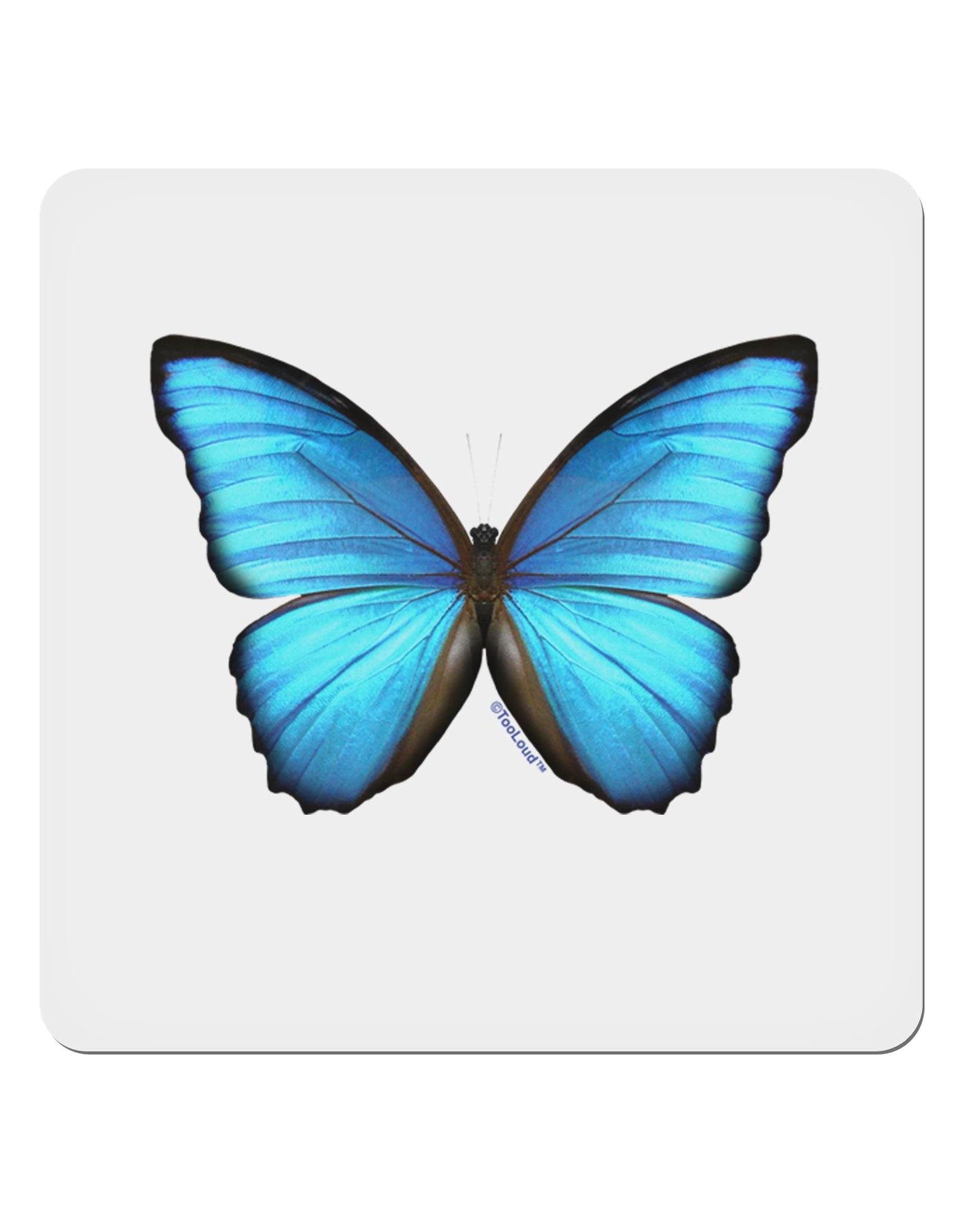 Cartoon Butterfly Line Art PNG Transparent Images Free Download | Vector  Files | Pngtree