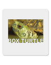 Menacing Turtle with Text 4x4&#x22; Square Sticker-Stickers-TooLoud-1-Davson Sales