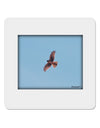 Soaring Peregrine 4x4&#x22; Square Sticker-Stickers-TooLoud-1-Davson Sales