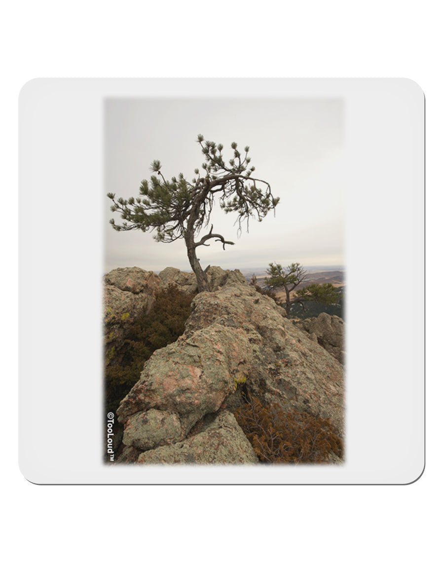 Stone Tree Colorado 4x4&#x22; Square Sticker-Stickers-TooLoud-1-Davson Sales