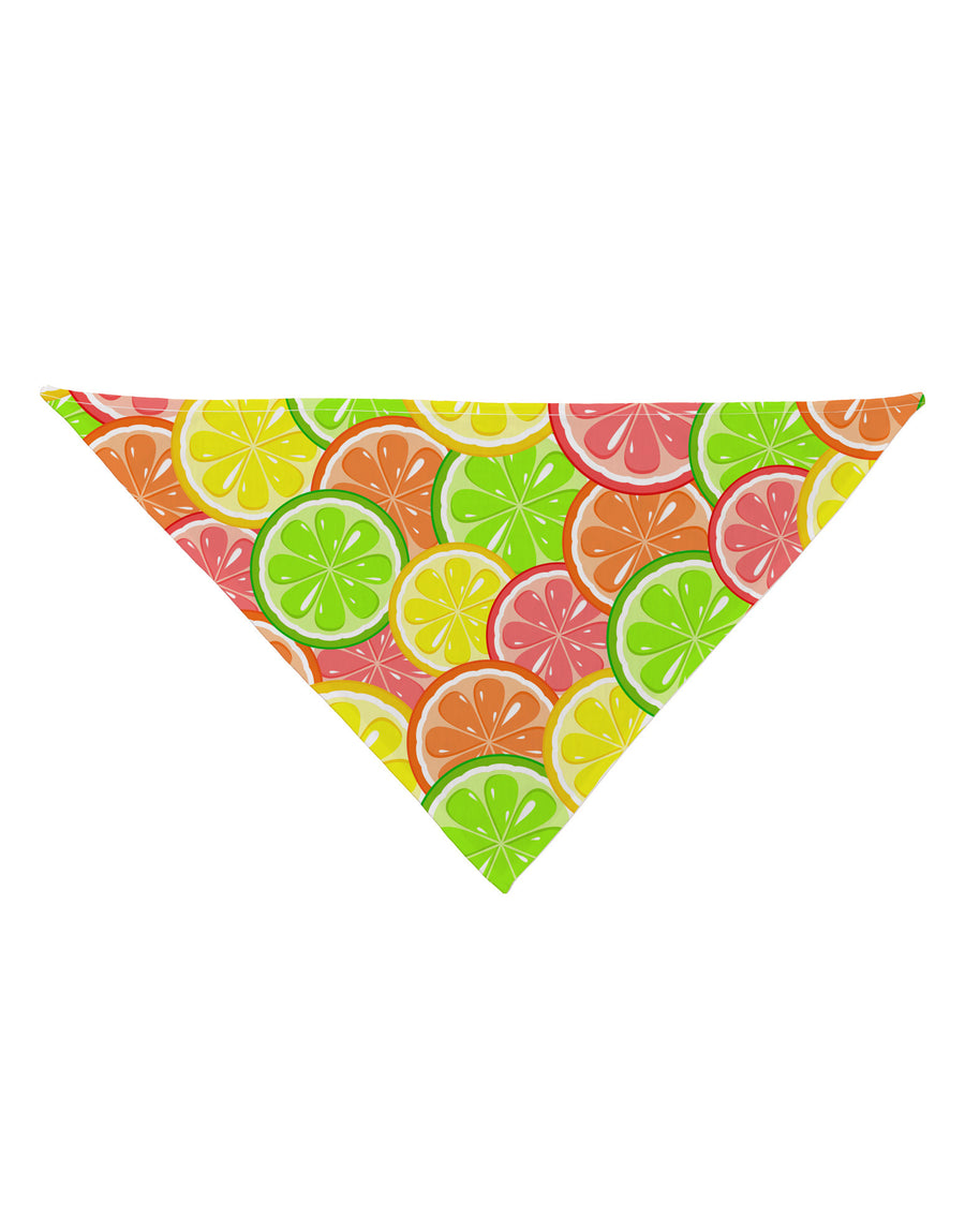 Colorful Citrus Fruits Dog Bandana 26&#x22; All Over Print-Dog Bandana-TooLoud-White-One-Size-Fits-Most-Davson Sales