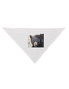 Staring Black Bear Dog Bandana 26-Dog Bandana-TooLoud-White-One-Size-Fits-Most-Davson Sales