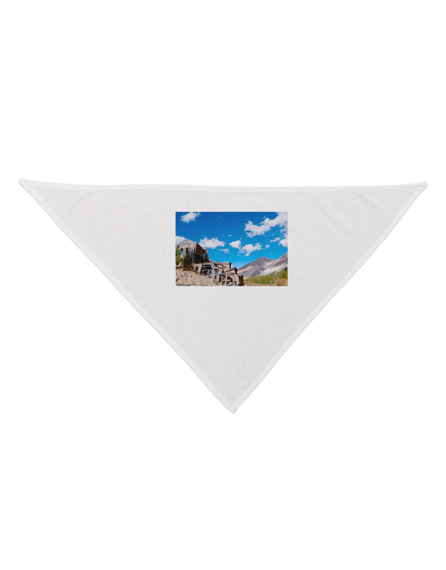 Colorado Landscape Ruins Dog Bandana 26-Dog Bandana-TooLoud-White-One-Size-Fits-Most-Davson Sales