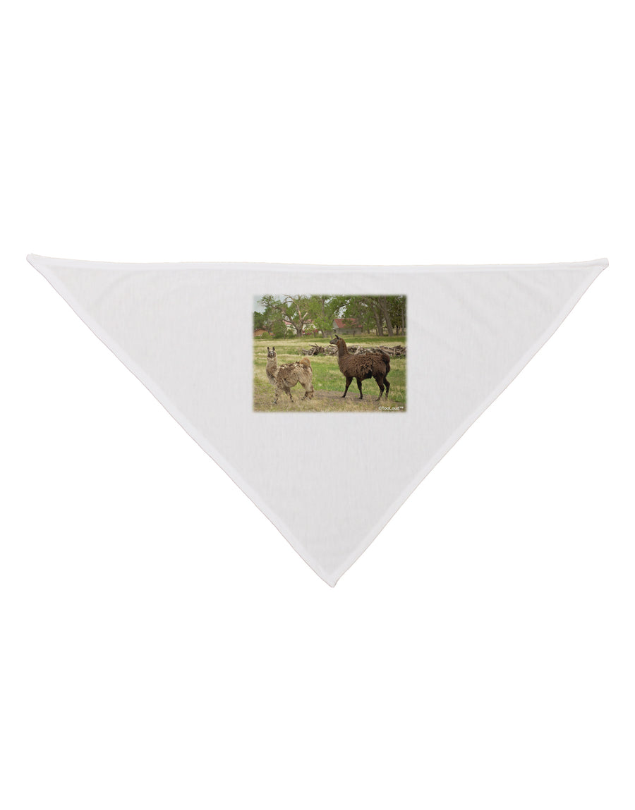 Standing Llamas Dog Bandana 26 by TooLoud-Dog Bandana-TooLoud-White-One-Size-Fits-Most-Davson Sales