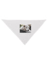 Laying White Wolf Dog Bandana 26-Dog Bandana-TooLoud-White-One-Size-Fits-Most-Davson Sales