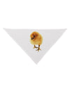 Fluffy Chick Dog Bandana 26-Dog Bandana-TooLoud-White-One-Size-Fits-Most-Davson Sales