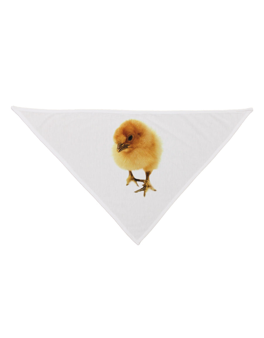 Fluffy Chick Dog Bandana 26-Dog Bandana-TooLoud-White-One-Size-Fits-Most-Davson Sales