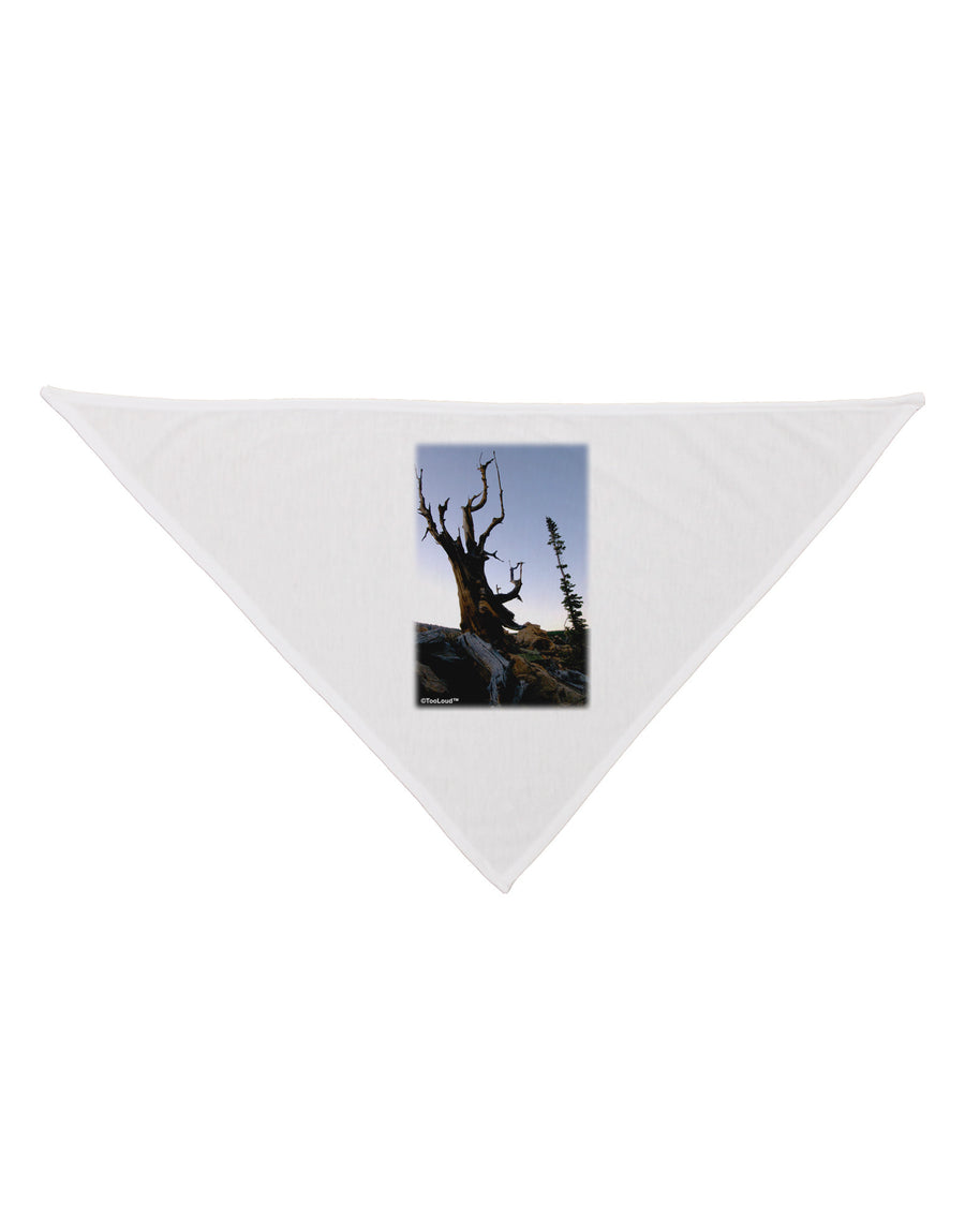 Colorado Mountain Scenery Dog Bandana 26-Dog Bandana-TooLoud-White-One-Size-Fits-Most-Davson Sales