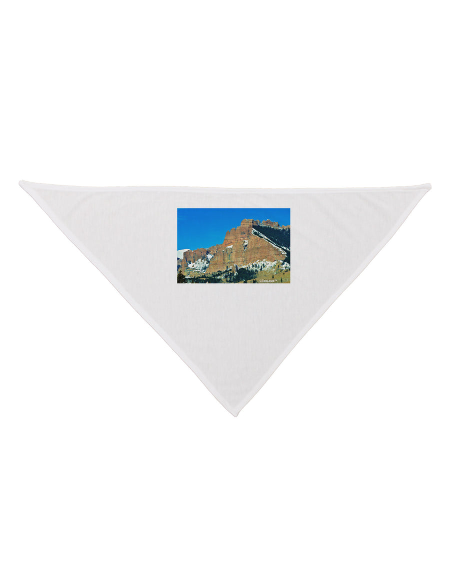 Colorado Snowy Mountains Dog Bandana 26-Dog Bandana-TooLoud-White-One-Size-Fits-Most-Davson Sales