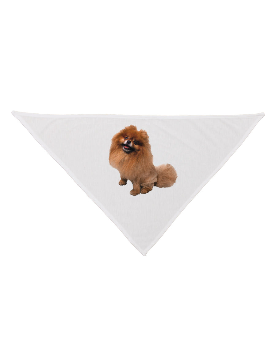 Pomeranian Sitting All Cute-Like Dog Bandana 26-Dog Bandana-TooLoud-White-One-Size-Fits-Most-Davson Sales