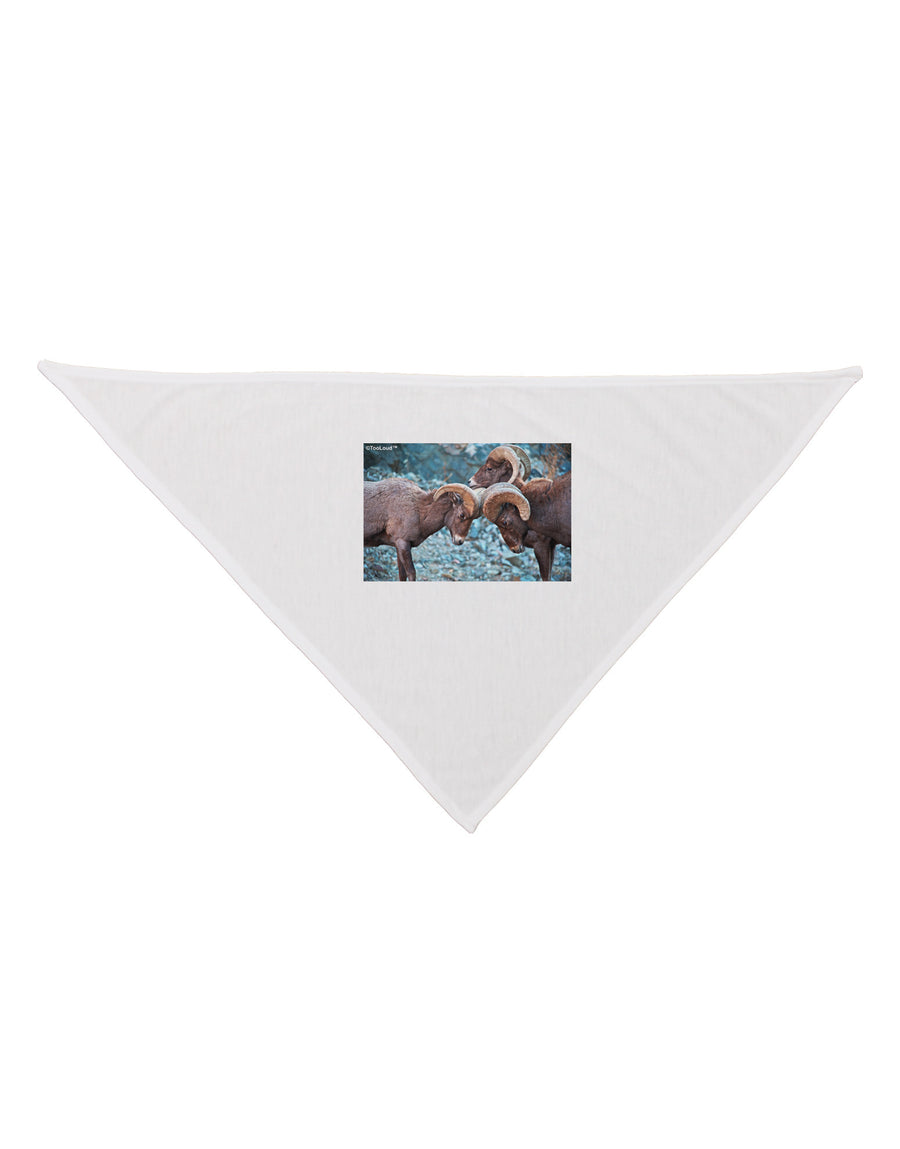 CO Bighorn Head Butt Dog Bandana 26-Dog Bandana-TooLoud-White-One-Size-Fits-Most-Davson Sales