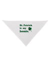 St Patrick is my Homie Dog Bandana 26-Dog Bandana-TooLoud-White-One-Size-Fits-Most-Davson Sales