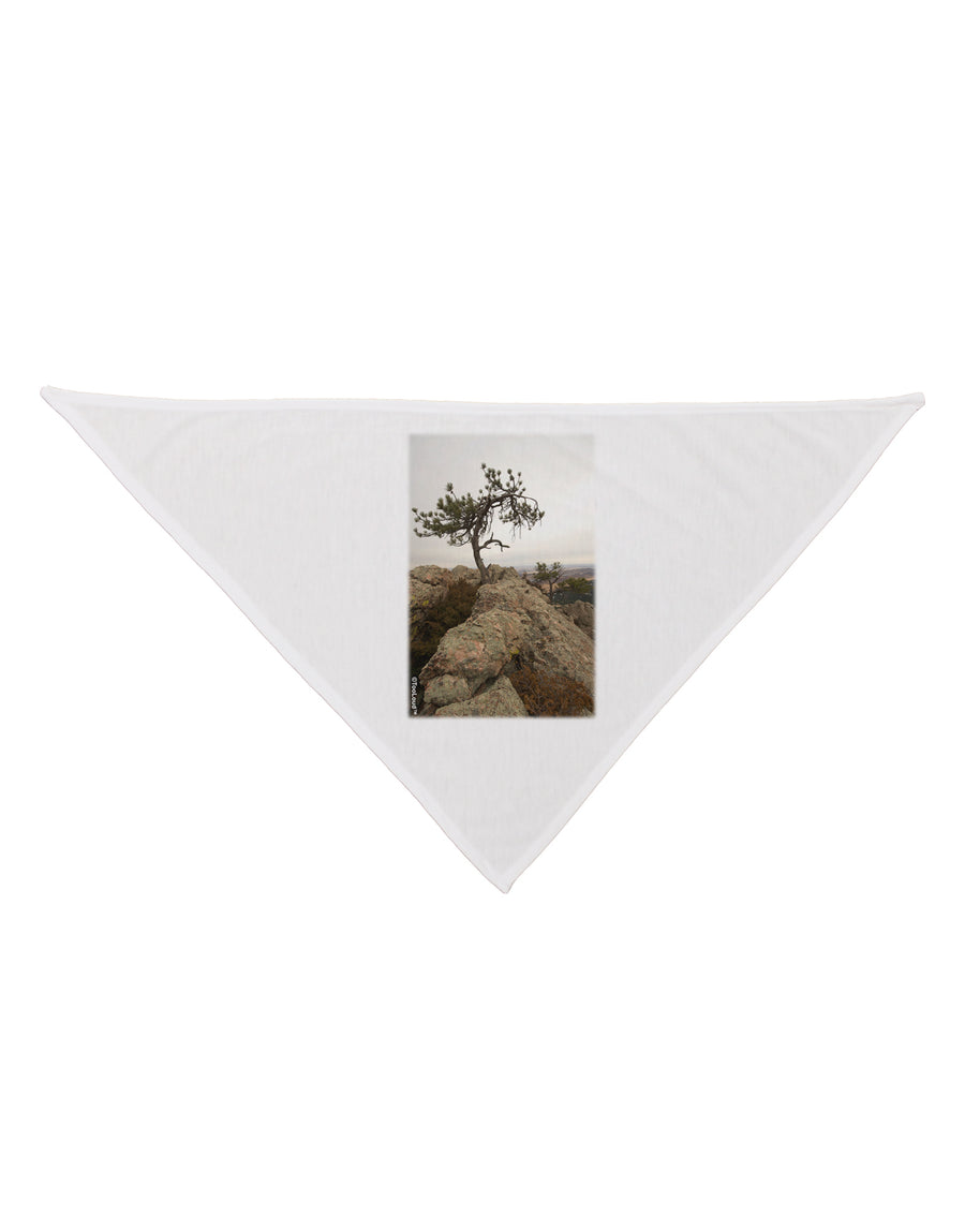 Stone Tree Colorado Dog Bandana 26 by TooLoud-Dog Bandana-TooLoud-White-One-Size-Fits-Most-Davson Sales