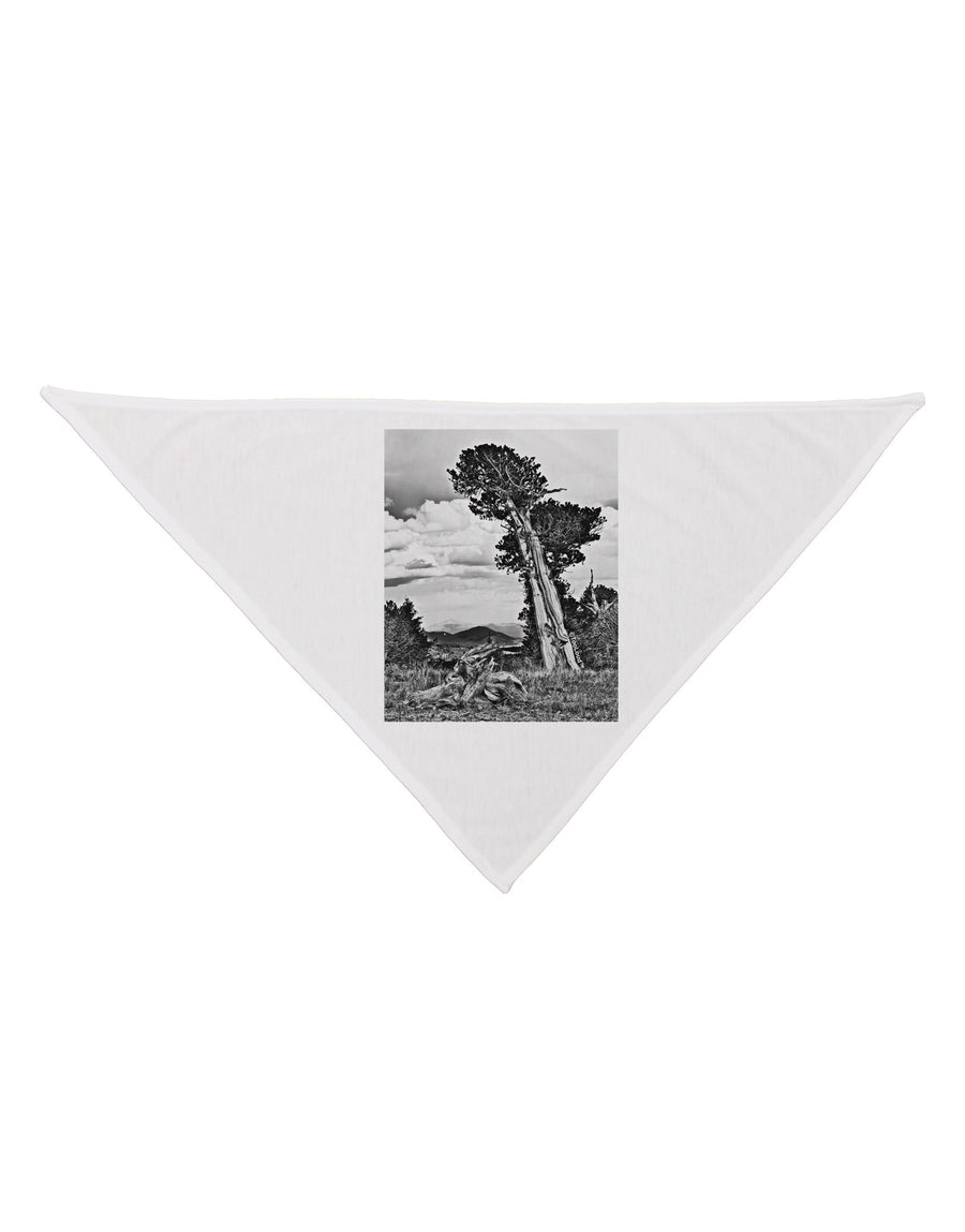 Colorado Landscape Monochrome Dog Bandana 26-Dog Bandana-TooLoud-White-One-Size-Fits-Most-Davson Sales