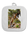 Bristlecone Pines White Fabric Pot Holder Hot Pad-Pot Holder-TooLoud-White-Davson Sales