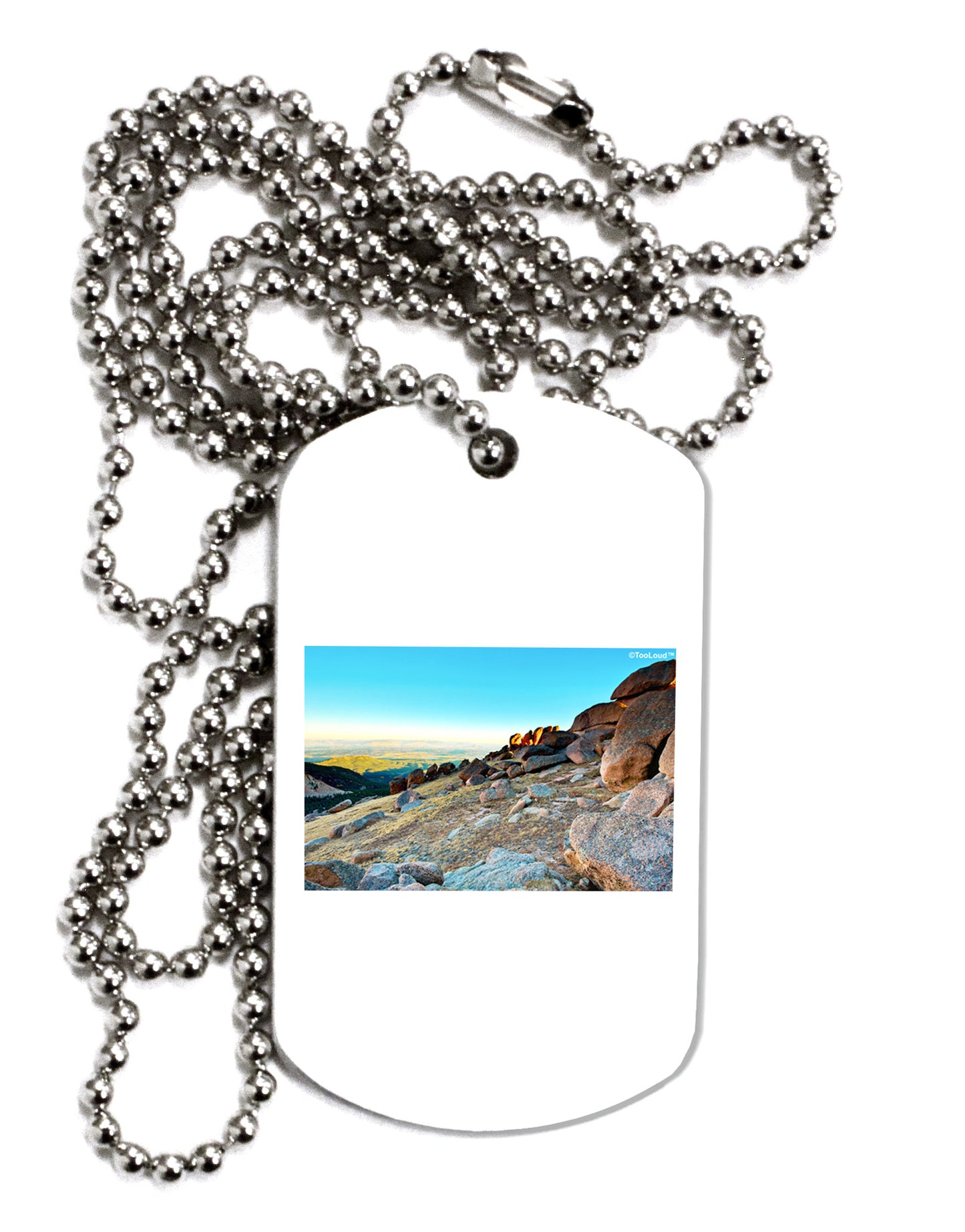 CO Rockies View Adult Dog Tag Chain Necklace-Dog Tag Necklace-TooLoud-1 Piece-Davson Sales
