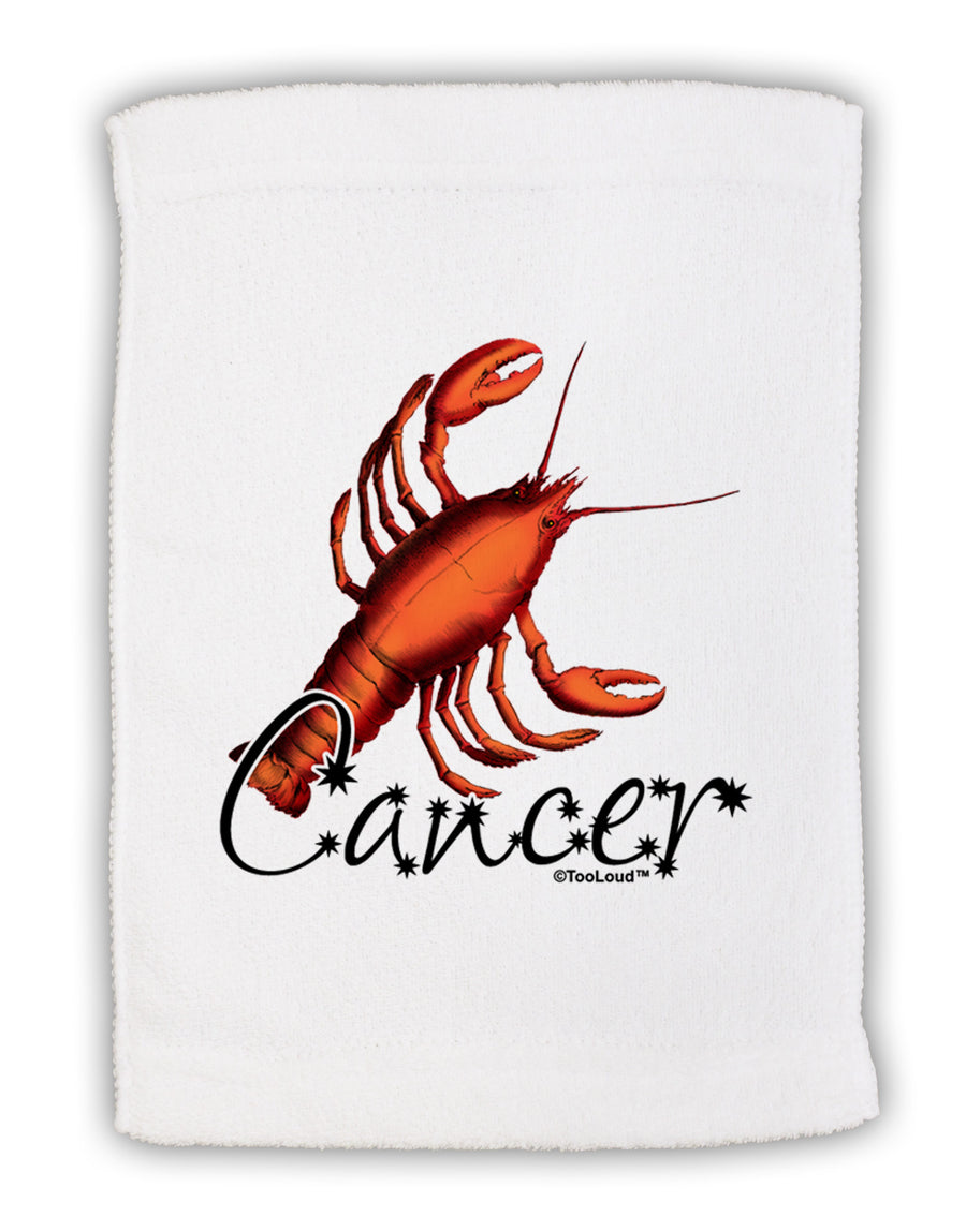 Cancer Color Illustration Micro Terry Sport Towel 11 x 18 inches-TooLoud-White-Davson Sales